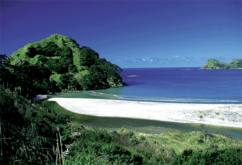 18333-Great_Barrier_Island_New_Zealand_Pacific_11.10.2012_1[1].jpg